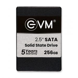 EVM 256GB SSD