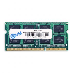 EVM Laptop RAM 8GB-1600